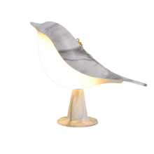 Load image into Gallery viewer, Casekis™ Aroma LumiBird
